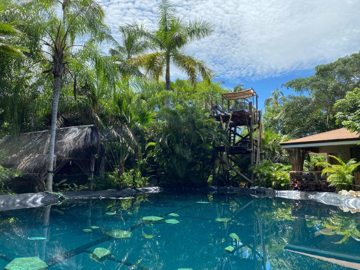 Jardin Secreto Centro Holistico Villa Akapulko Dış mekan fotoğraf
