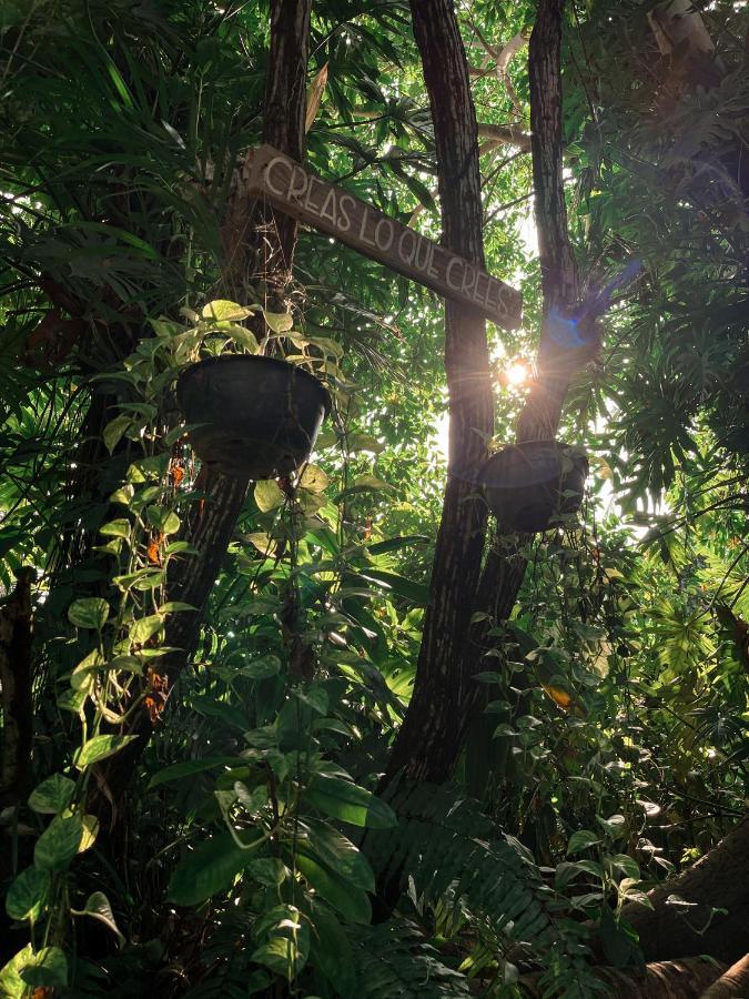 Jardin Secreto Centro Holistico Villa Akapulko Dış mekan fotoğraf