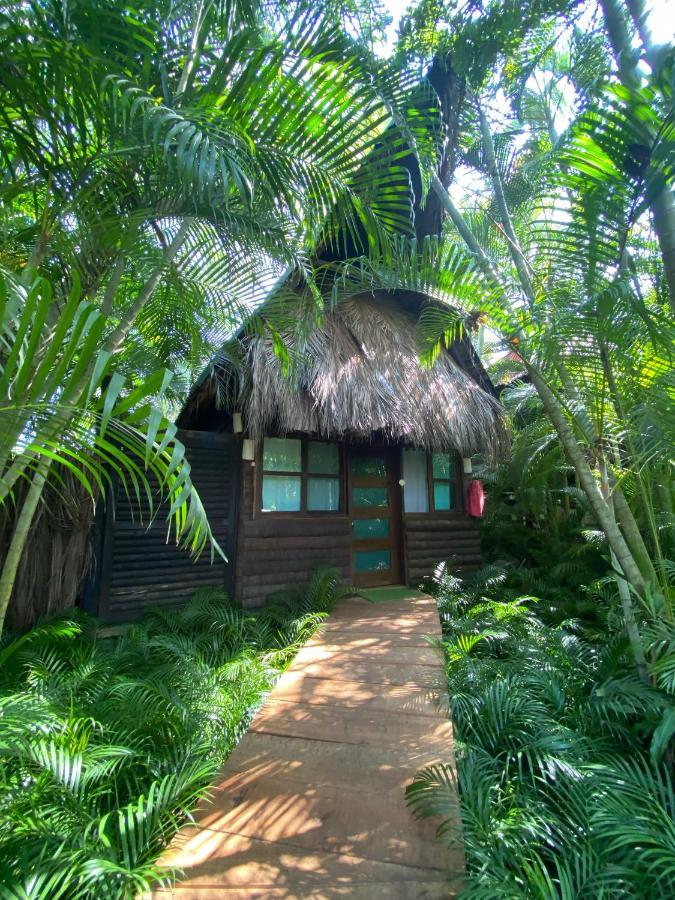 Jardin Secreto Centro Holistico Villa Akapulko Dış mekan fotoğraf